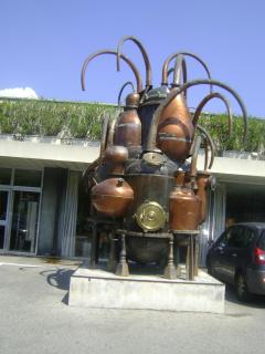 DSC06334.JPG