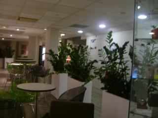 DSC06305.JPG