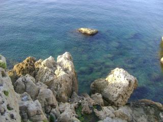 DSC06100.JPG
