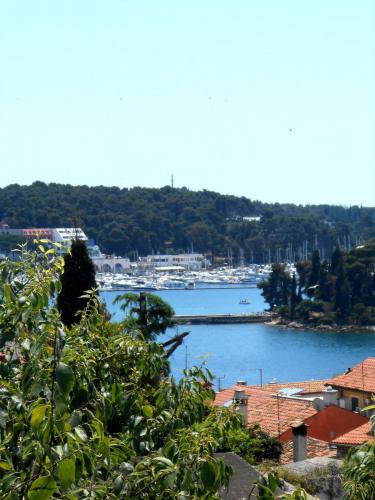 DSCN4347.JPG