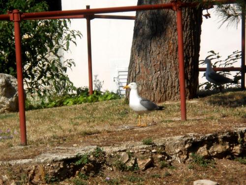 DSCN4477.JPG