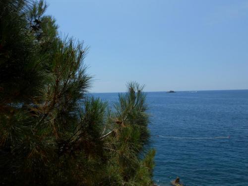 DSCN4354.JPG