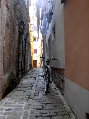 DSCN4582.JPG