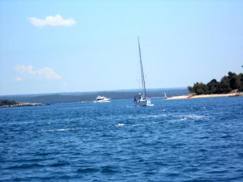 DSCN4395.JPG