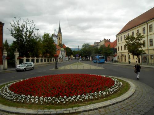 DSCN3676.JPG
