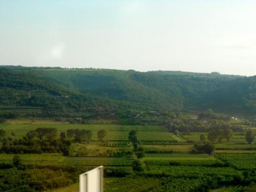 DSCN4480.JPG