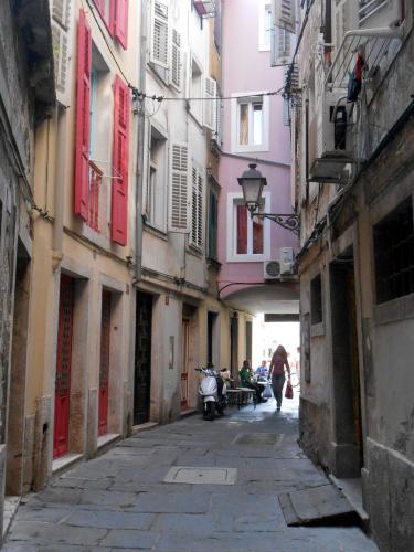 DSCN4595.JPG