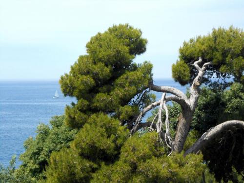 DSCN4338.JPG