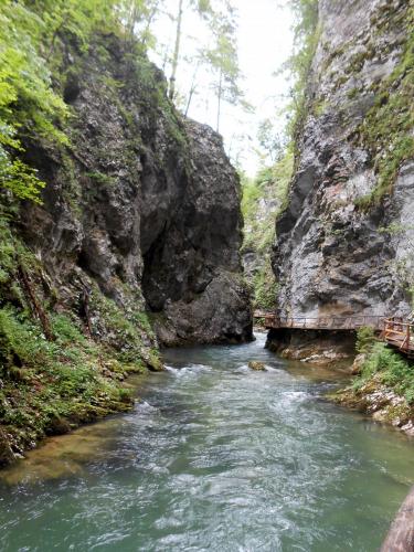DSCN4922.JPG