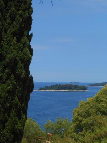 DSCN4343.JPG