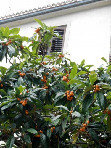 DSCN3975.JPG