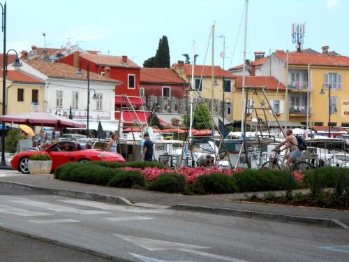 DSCN3940.JPG