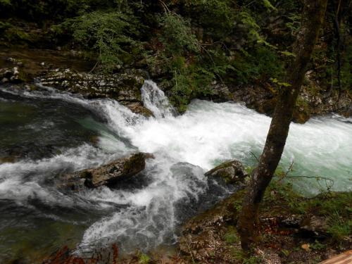 DSCN4909.JPG