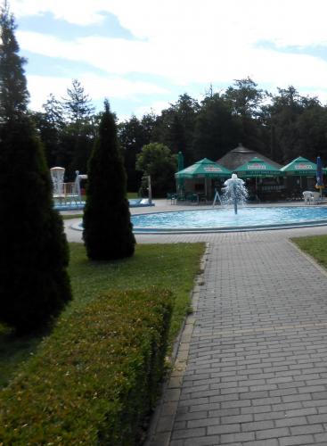 DSCN3176.JPG