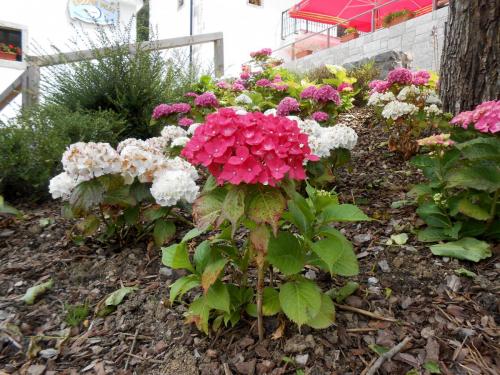 DSCN4677.JPG