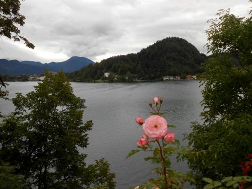 DSCN4840.JPG