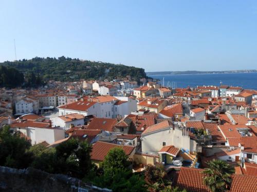 DSCN4553.JPG