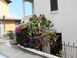DSCN1174.JPG
