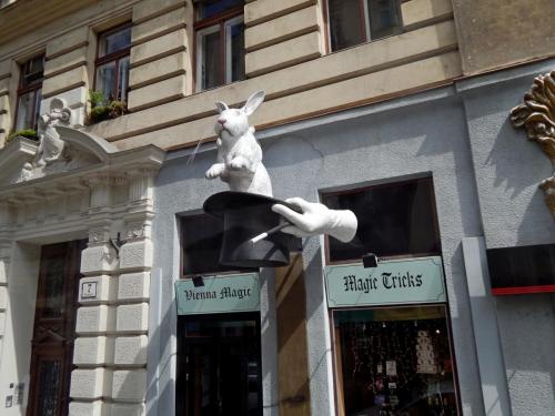 DSCN7680.JPG