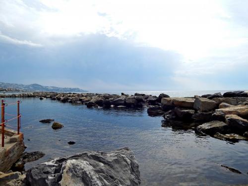 DSCN8781.JPG
