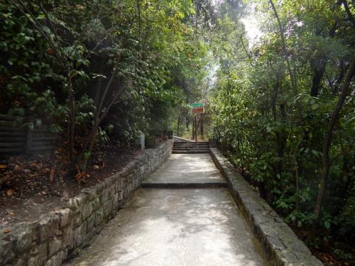 DSCN9158.JPG