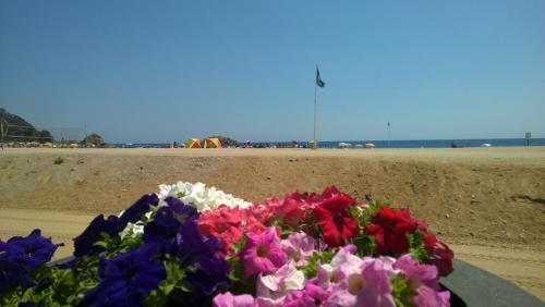 WP_20150622_053.jpg