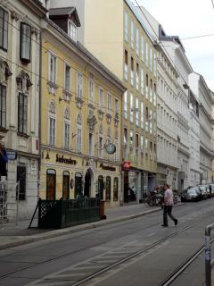 DSC00158.jpg