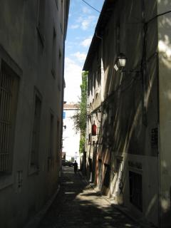 IMG_2955.jpg