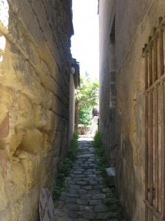 IMG_2278.jpg