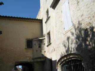 IMG_2921.JPG