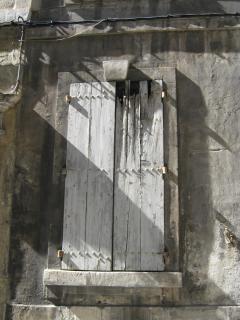 IMG_2867.jpg