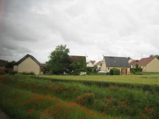 IMG_1422.JPG