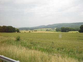 IMG_3381.JPG