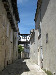 IMG_2084.jpg