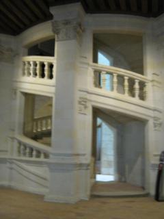 IMG_1446.jpg