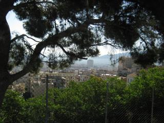 IMG_2660.JPG