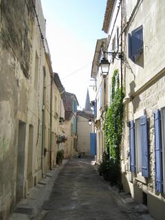 IMG_2909.jpg