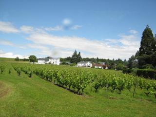 IMG_1633.JPG