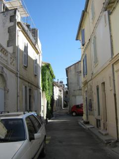 IMG_2908.jpg