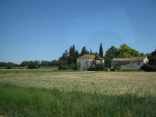 IMG_2826.JPG