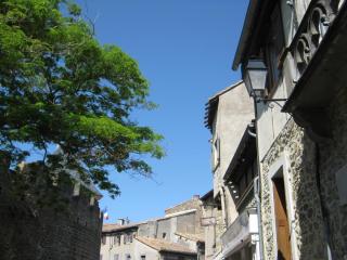 IMG_2519.JPG