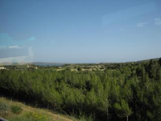 IMG_2548.JPG