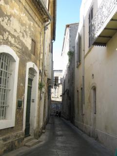 IMG_2935.jpg