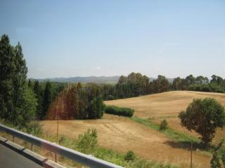 IMG_2438.JPG