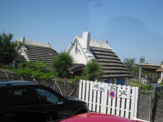 IMG_2781.JPG