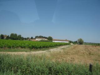 IMG_2794.JPG
