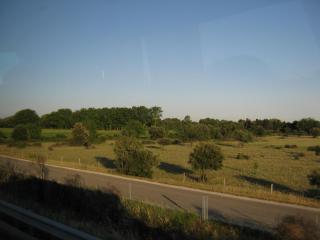 IMG_2553.JPG