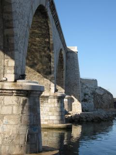 IMG_2627.jpg