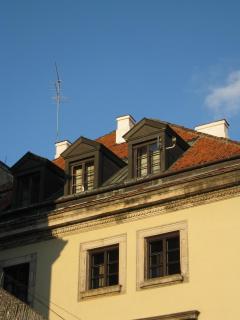 IMG_8825.jpg