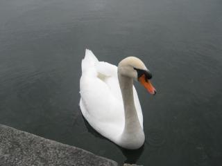IMG_9343.JPG